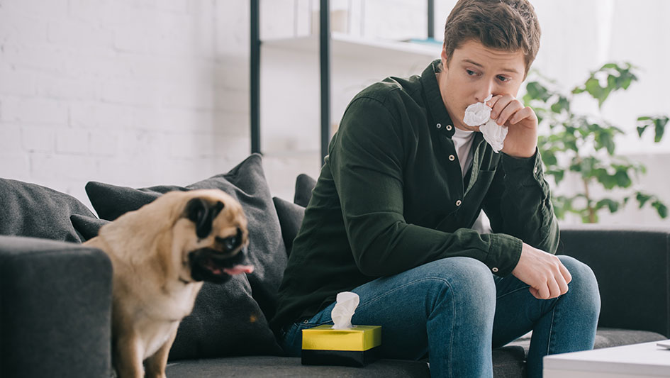 Purchasing an air purifier is one of the smartest ways to enhance your home’s indoor air quality. Learn more about the three best options. 