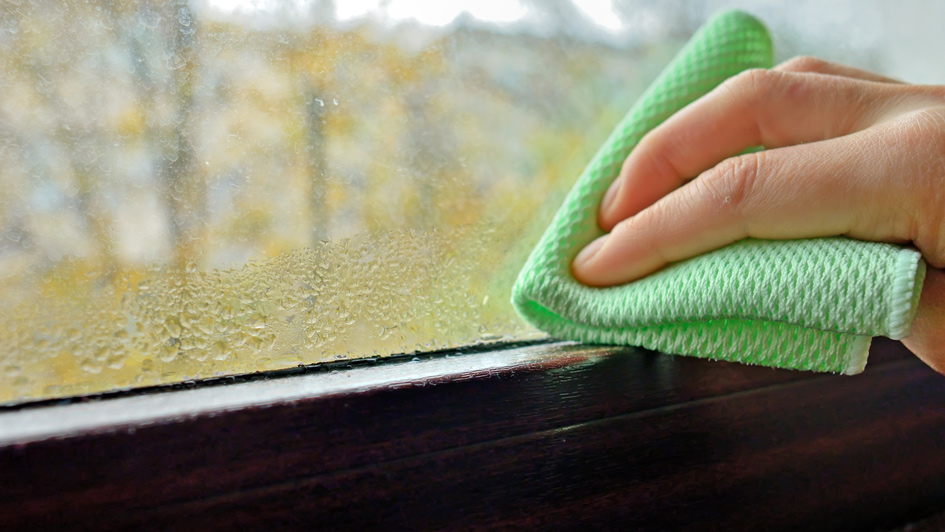 Why Your Windows Are Sweating Indoors and How to Fix It